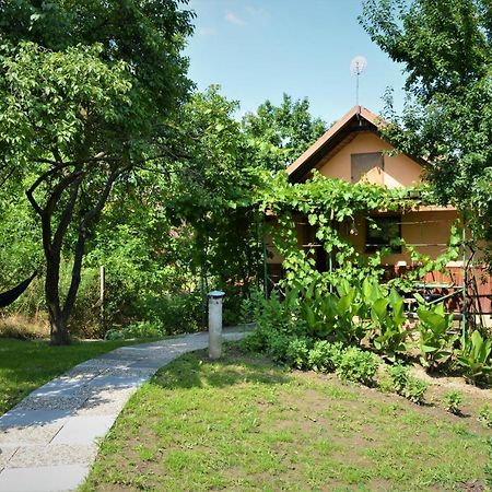 Vinařství Koliba Apartamento Cejkovice  Exterior foto