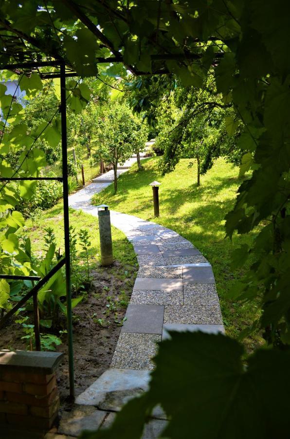 Vinařství Koliba Apartamento Cejkovice  Exterior foto