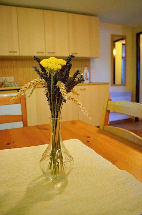 Vinařství Koliba Apartamento Cejkovice  Exterior foto